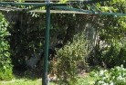 Glen Nivenvegetable-gardens-13.jpg; ?>
