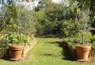 Glen Nivenvegetable-gardens-3.jpg; ?>